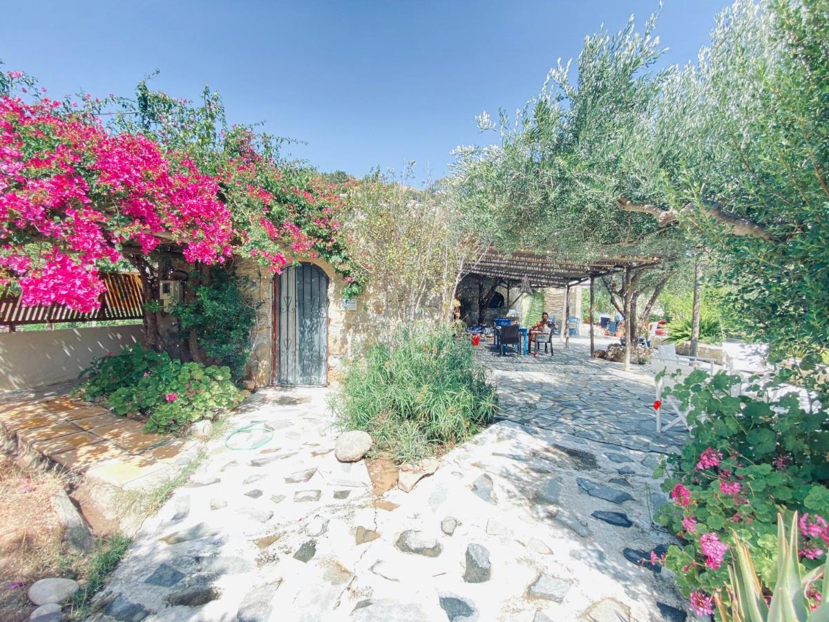 Natura Cottages มากรีเยียลอส ภายนอก รูปภาพ